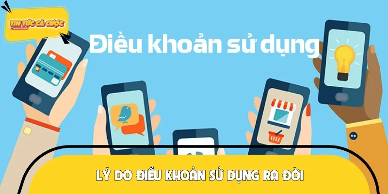 Điều khoản sử dụng ra đời với lý do quan trọng